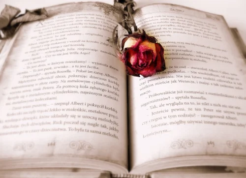 Un beau livre avec une rose, image de D.Glodowska. Illustre le storytelling, l'art de raconter l'histoire d'une entreprise et de son fondateur avec passion.